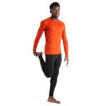 Icebreaker Men's 260 Tech Long Sleeve Crewe