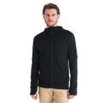 Icebreaker Men's Merino 260 Quantum IV Long Sleeve Zip Hoodie